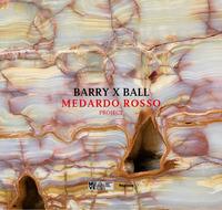Barry x Ball. Medardo Rosso project. Ediz. a colori - Elisabetta Barisoni,Francesco Guzzetti,David Raskin - copertina