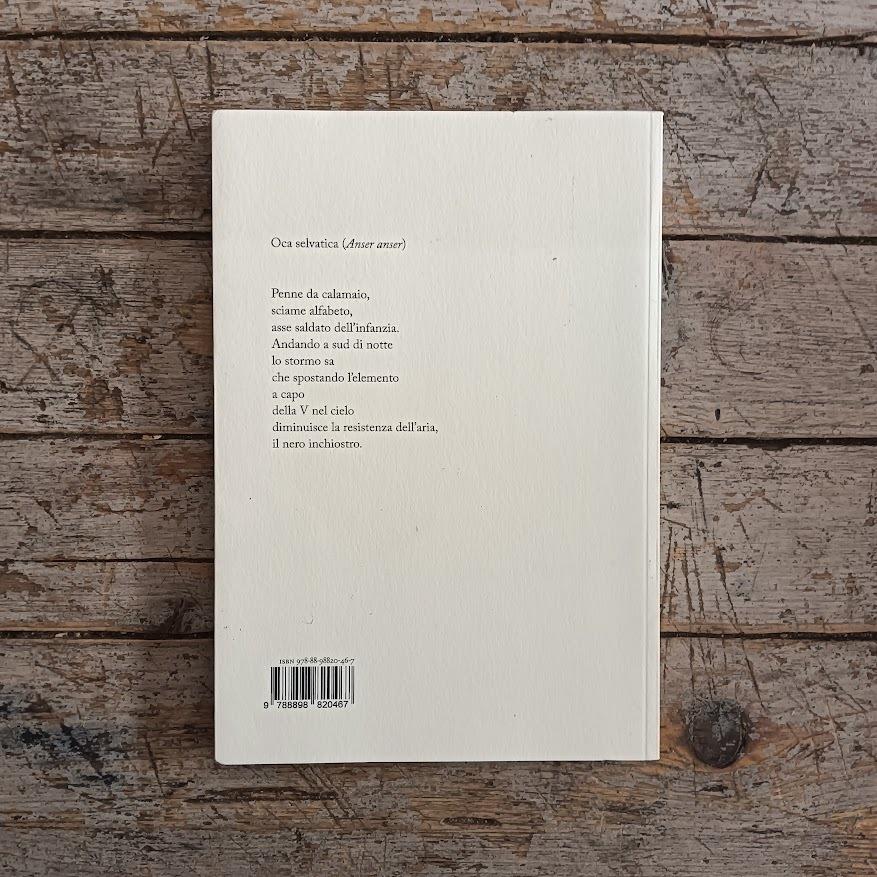 Libreria Catap Macerata