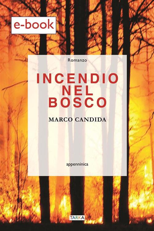 Incendio nel bosco - Marco Candida - ebook