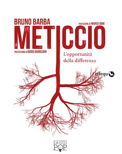 Meticcio. L'opportunità della differenza - Bruno Barba - copertina
