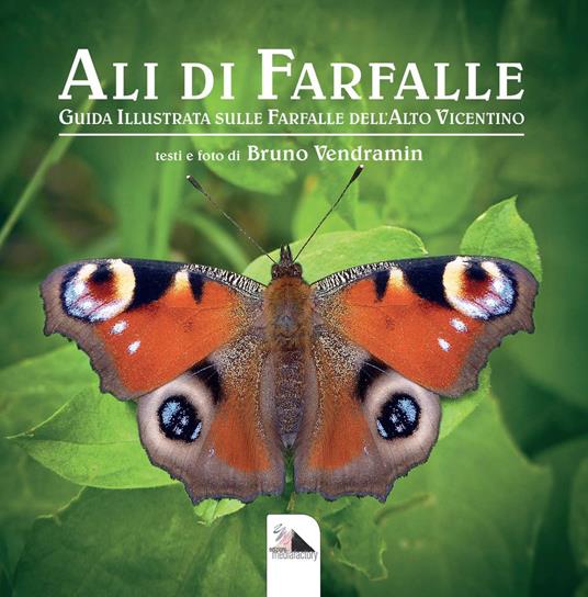 Ali di farfalle. Guida illustrata sulle farfalle del'Alto Vicentino. Ediz. a colori - Bruno Vendramin - copertina