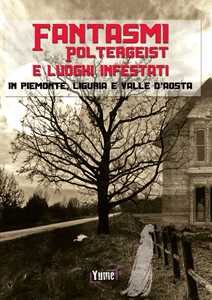 Libro Fantasmi, poltergeist e luoghi infestati. In piemonte, Liguria e Valle d'Aosta Olivier Amina