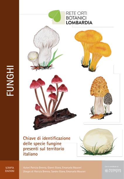 Funghi. Chiave di identificazione delle specie fungine presenti nel territorio italiano - Patrizia Brenna,Gianni Giana,Emanuela Mauceri - copertina