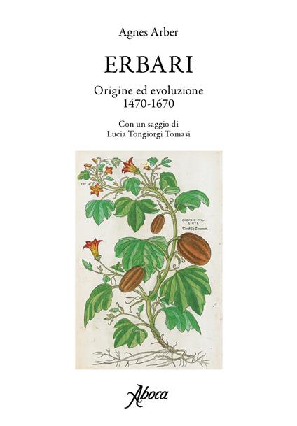 Erbari. Origine ed evoluzione 1470-1670 - Agnes Arber - copertina