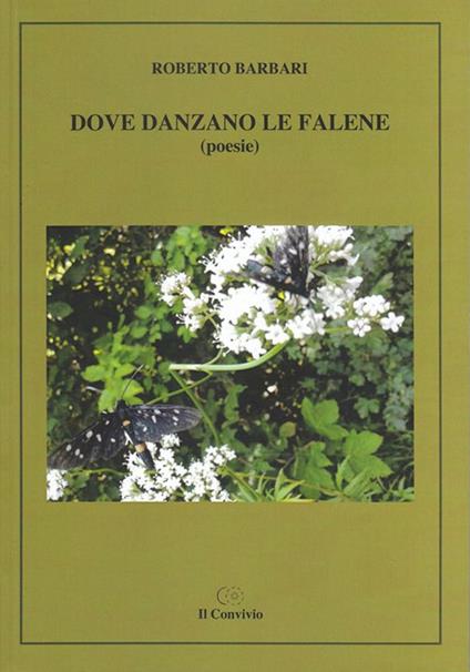 Dove danzano le falene - Roberto Barbari - copertina