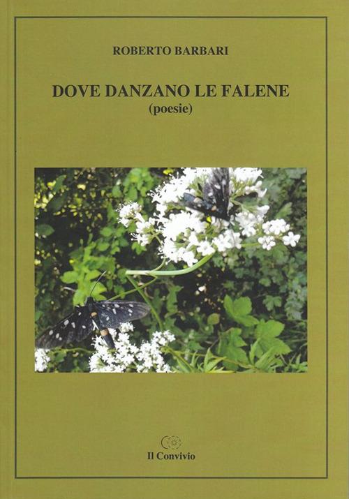 Dove danzano le falene - Roberto Barbari - copertina