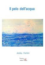 Il pelo dell'acqua