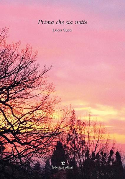 Prima che sia notte - Lucia Succi - copertina