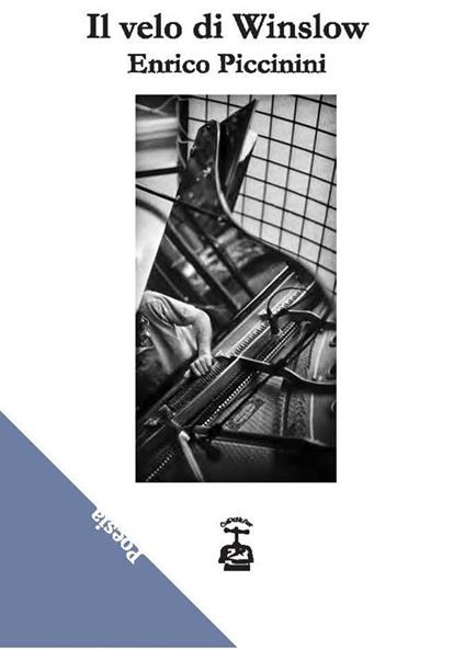 Il velo di Winslow - Enrico Piccinini - copertina