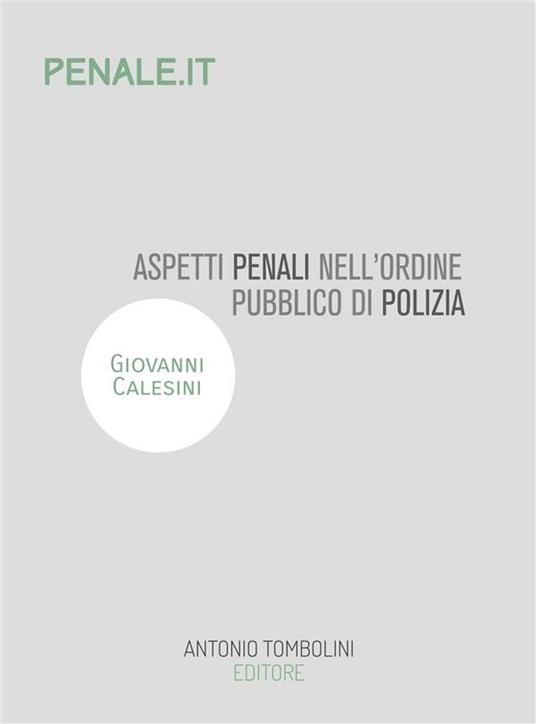 Aspetti penali dell'ordine pubblico di polizia. Attività di iniziativa nel controllo del territorio - Giovanni Calesini - ebook