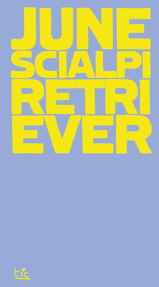 Retriever. (Possibile inquadramento teorico di un) - June Scialpi - copertina