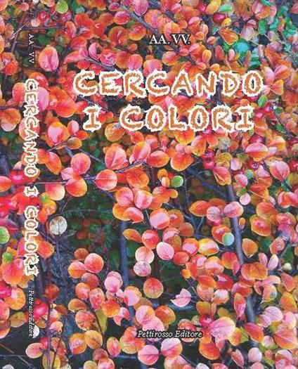 Cercando i colori - copertina