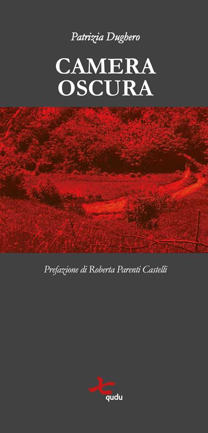Camera oscura. Nuova ediz. - Patrizia Dughero - copertina