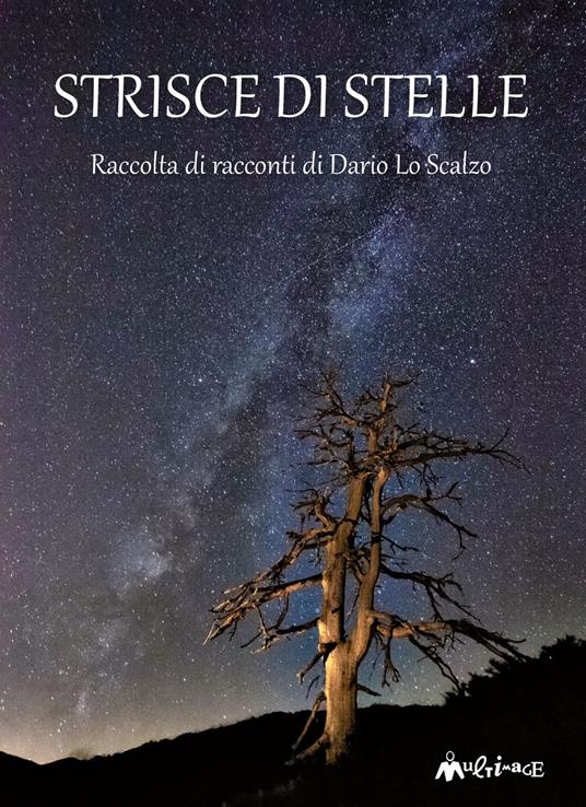 Strisce di stelle - Dario Lo Scalzo - copertina