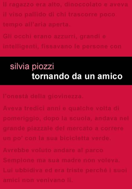 Tornando da un amico - Silvia Piozzi - copertina