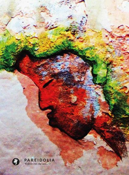 Pareidolia. Vedere ciò che non c'è. Ediz. illustrata - Alessandra Romagna,Elvio Ceci - copertina