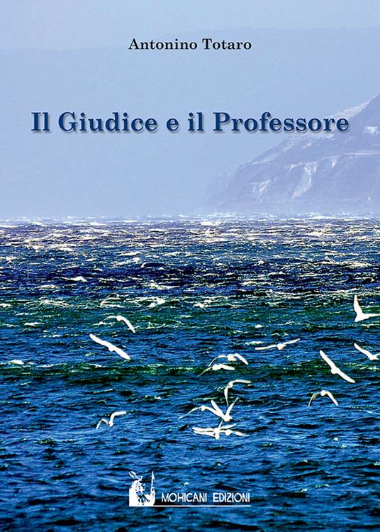 Il giudice e il professore - Antonino Totaro - copertina