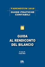 Guida al rendiconto del bilancio. Vademecum 2019. Vol. 3