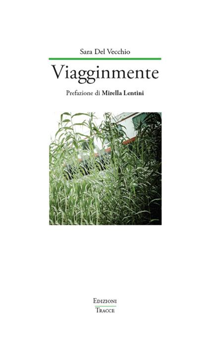Viagginmente - Sara Del Vecchio - copertina