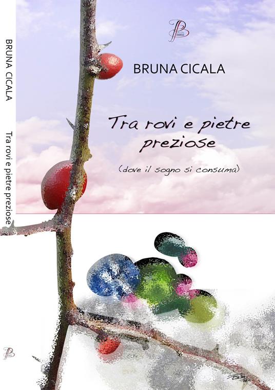 Tra rovi e pietre preziose (dove il sogno di consuma) - Bruna Cicala - copertina