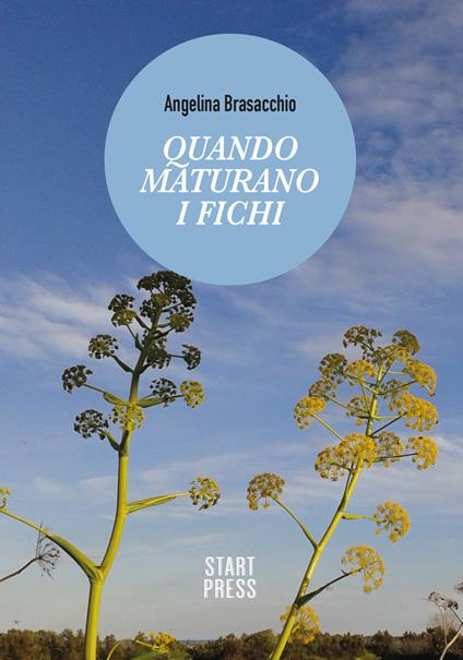 Quando maturano i fichi - Angelina Brasacchio - copertina