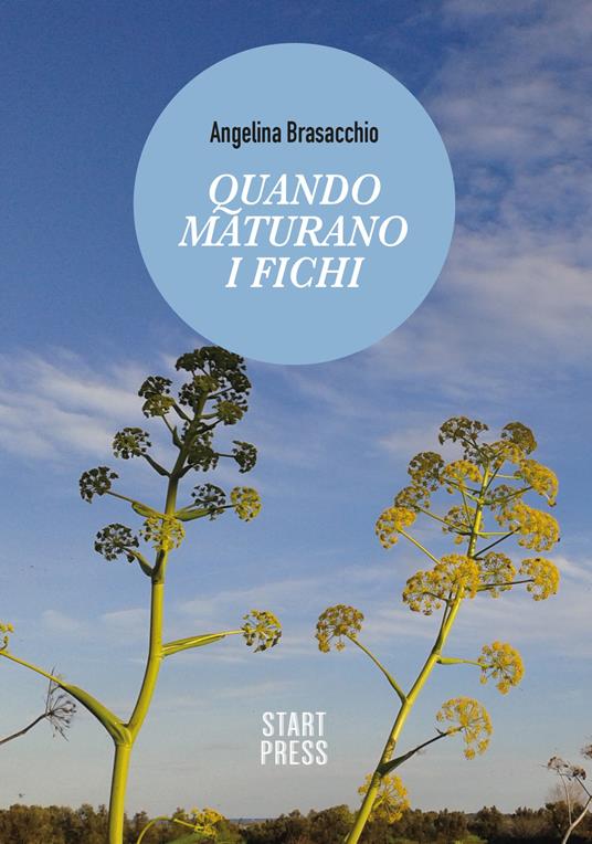 Quando maturano i fichi - Angelina Brasacchio - copertina
