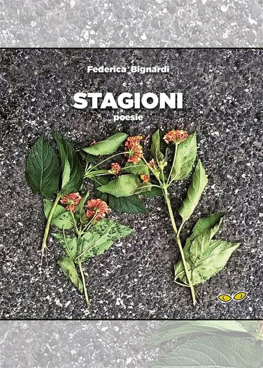 Stagioni - Federica Bignardi - ebook