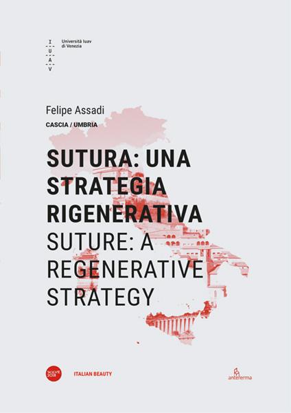 Sutura: una strategia rigenerativa-Suture: a regenerative strategy. Ediz. bilingue - Felipe Assadi - copertina