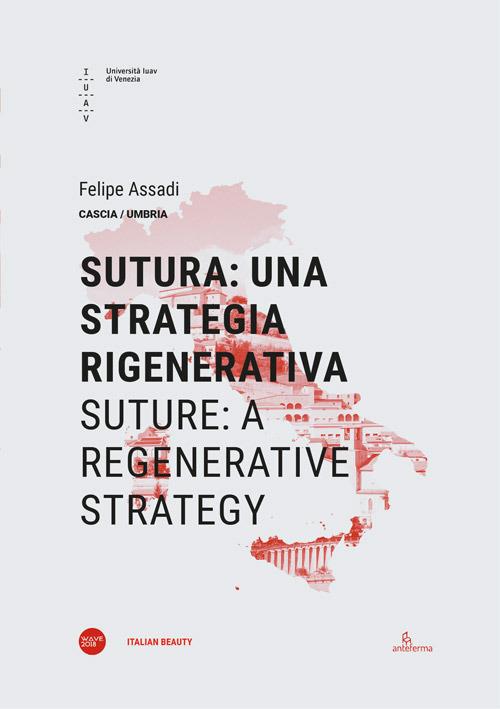 Sutura: una strategia rigenerativa-Suture: a regenerative strategy. Ediz. bilingue - Felipe Assadi - copertina