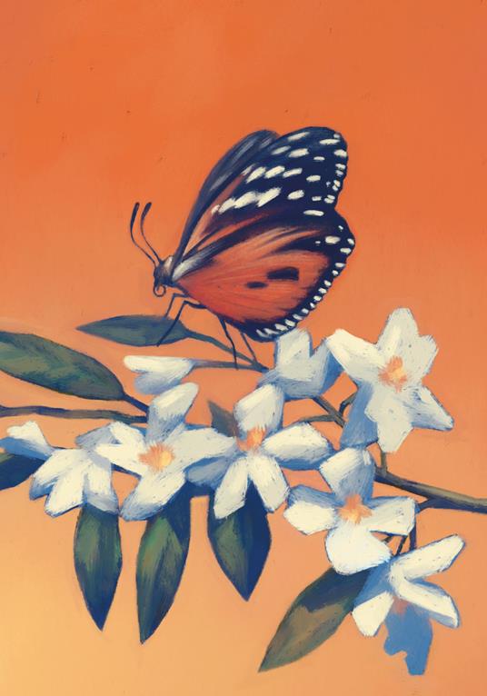 Fuad delle farfalle - Lina Maria Ugolini - copertina