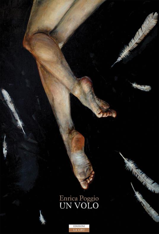 Un volo - Enrica Poggio - copertina