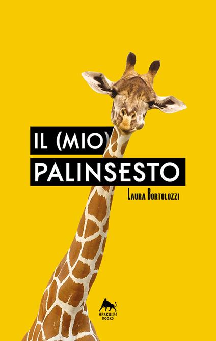 Il (mio) palinsesto - Laura Bortolozzi - ebook