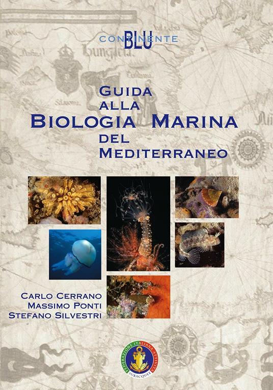 Guida alla biologia marina del Mediterraneo - Carlo Cerrano,Massimo Ponti,Stefano Silvestri - copertina