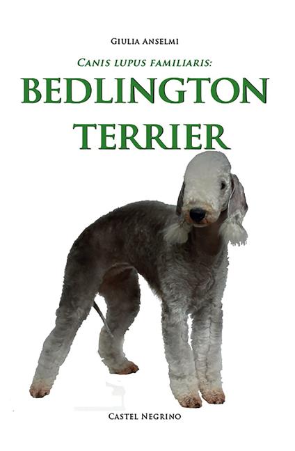 Bedlington Terrier - Giulia Anselmi - copertina