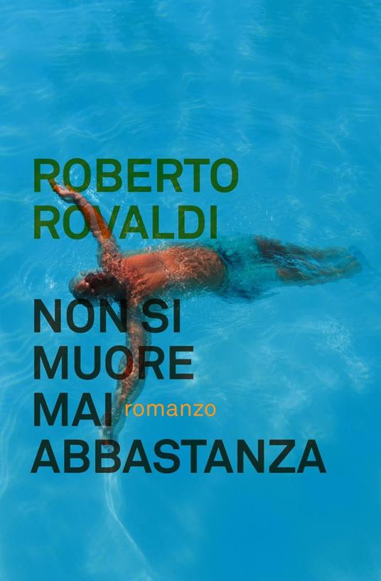 Non si muore mai abbastanza - Roberto Rovaldi - copertina