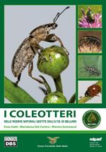 I coleotteri. Delle riserve naturali gestite dall'U.T.B. di Belluno