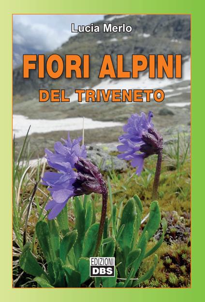 Fiori alpini del Triveneto - Lucia Merlo - copertina