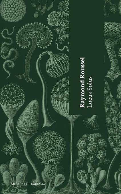 Locus solus - Raymond Roussel,Susanna Spero - ebook