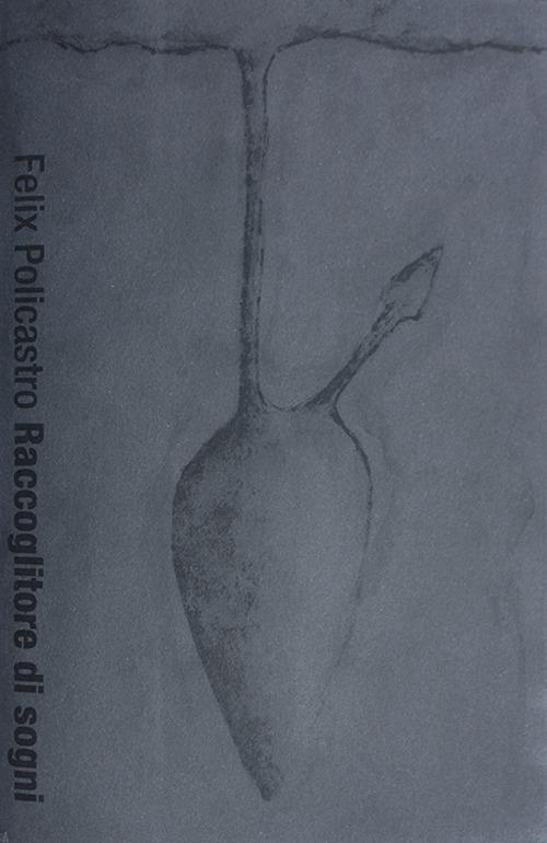 Raccoglitore di sogni. Ediz. illustrata - Felix Policastro - copertina