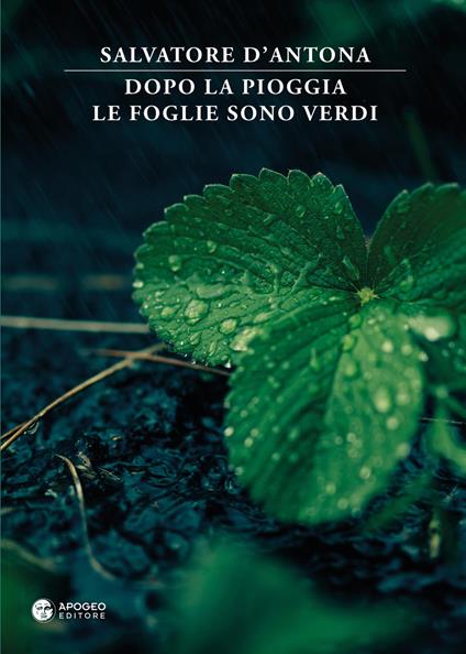 Dopo la pioggia le foglie sono verdi - Salvatore D'Antona - copertina