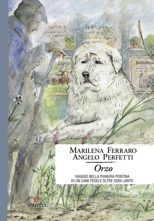 Orzo. Viaggio nella pianura pontina di un cane fedele oltre ogni limite - Marilena Ferraro,Angelo Perfetti - copertina