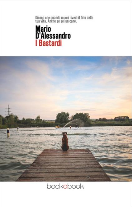 I bastardi - Mario D'Alessandro - copertina