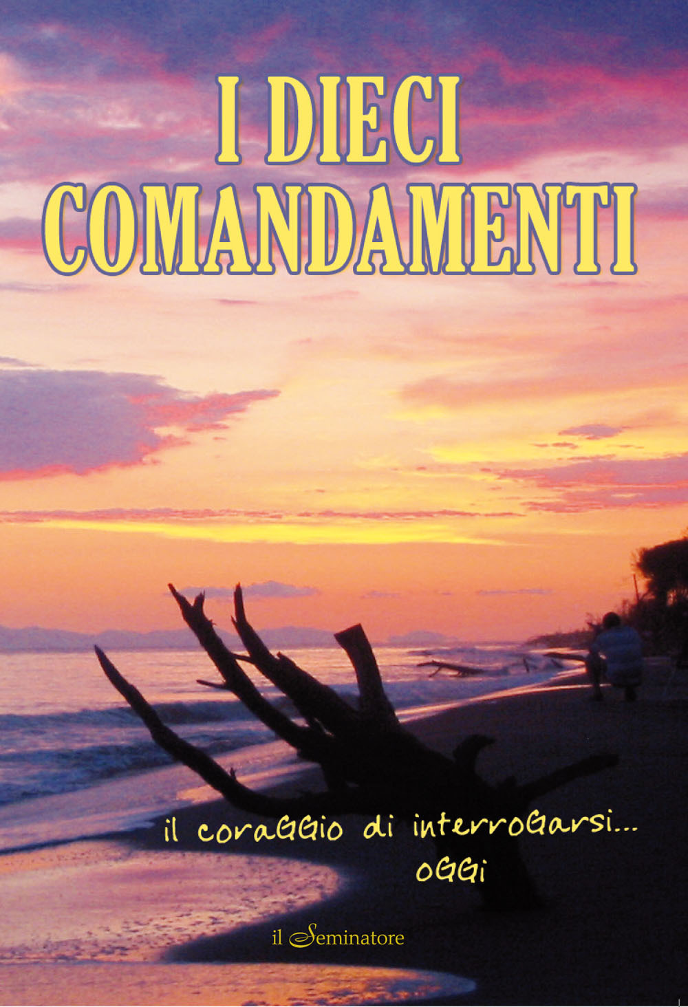 Libreria La Cometa