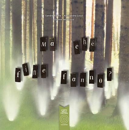 Ma che fine fanno? - Sandra Fabris,Alessandra Lezzi - copertina