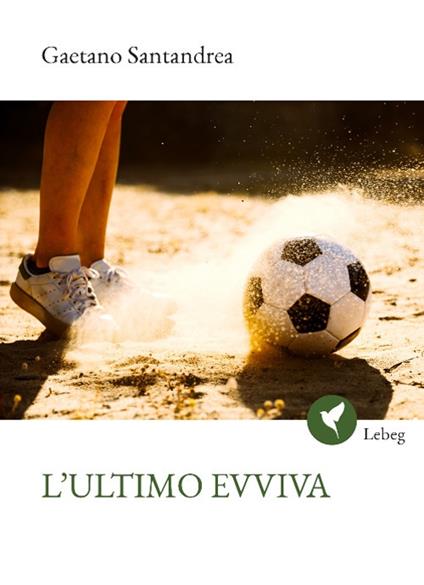 L'ultimo evviva - Gaetano Santandrea - copertina