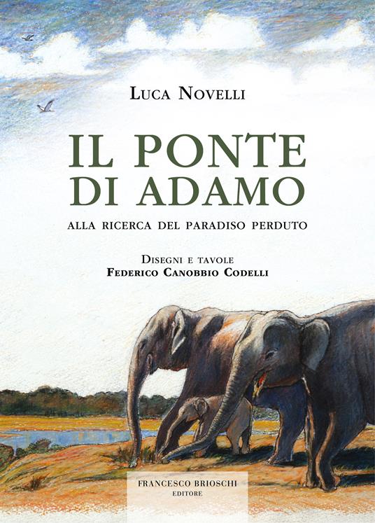 Il ponte di Adamo - Luca Novelli,Federico Canobbio Codelli - ebook