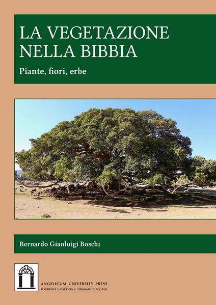 La vegetazione nella Bibbia. Piante, fiori, erbe. Ediz. integrale - Bernardo Gianluigi Boschi - copertina