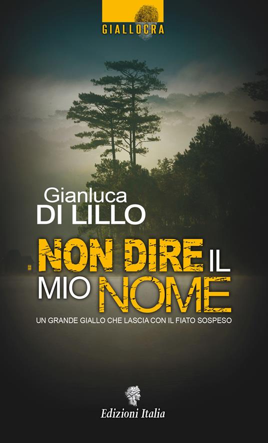 Non dire il mio nome - Gianluca Di Lillo - copertina