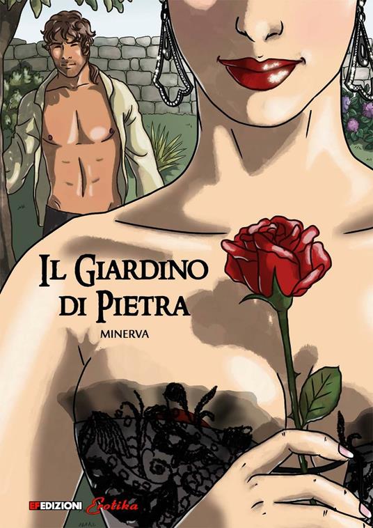 Il giardino di pietra - copertina