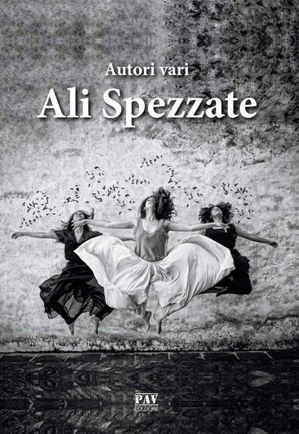Ali spezzate - copertina